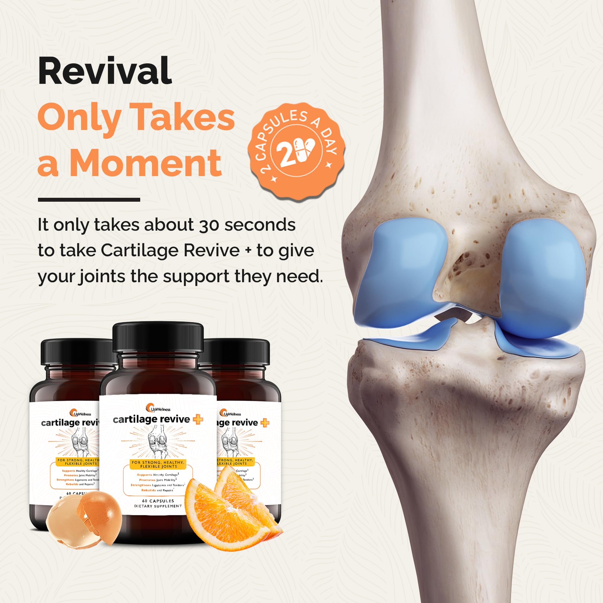 UpWellness Cartilage Revive MSM showcases sulfur-rich compound for joint wellness.