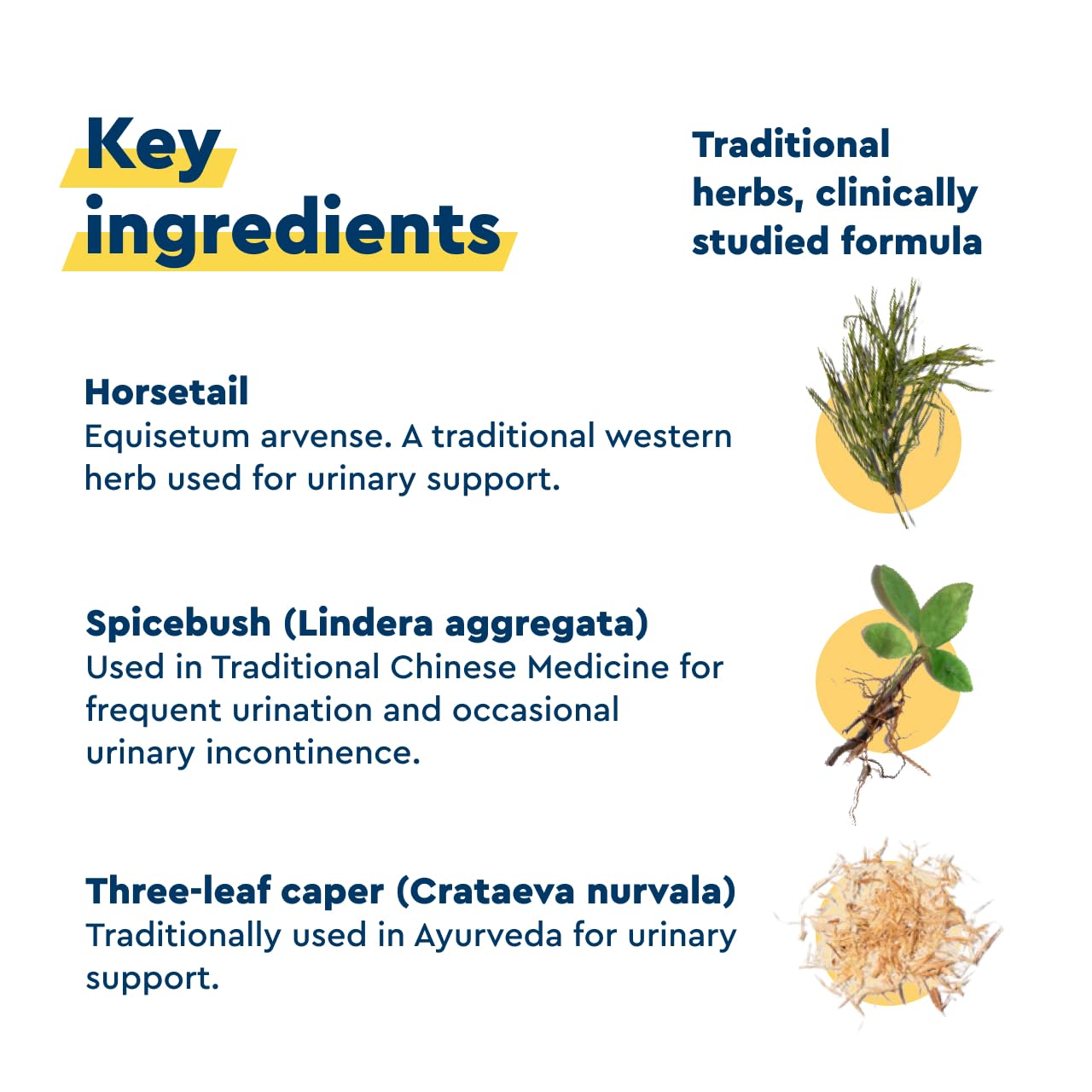 Uqora In Control science-based formulation image communicates research-backed bladder support.