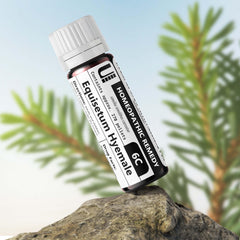 Close-up of 270 pellets in the Urenus Equisetum Hyemale 6C bottle for steady dosing.