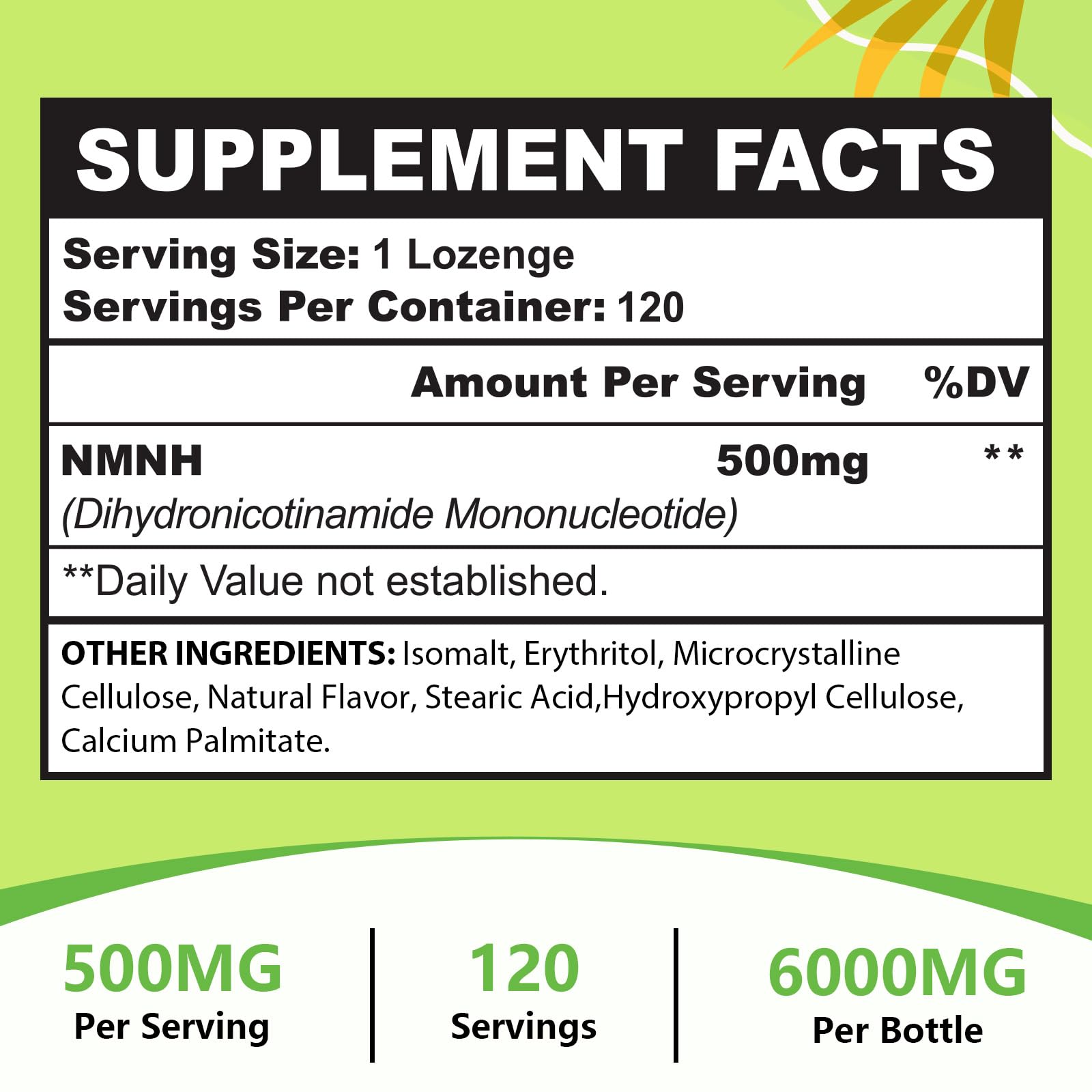 Morning scene showing daily Ursinquil NMNH dose for routine wellness