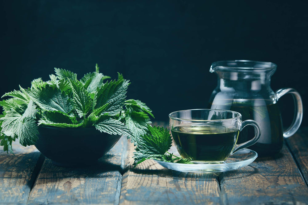 U.S. Wellness Naturals Swiss-inspected quality control for nettle tea.