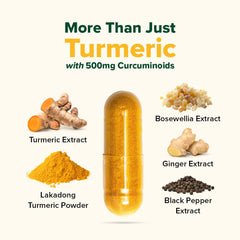 VAHDAM Lakadong turmeric root extract highlights high curcuminoid content