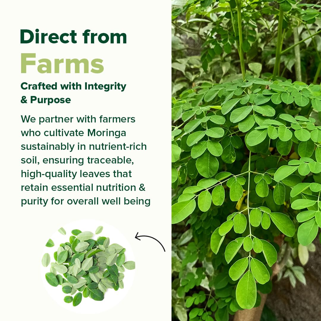 VAHDAM Moringa Capsules ingredients panel featuring moringa leaf nutrients.