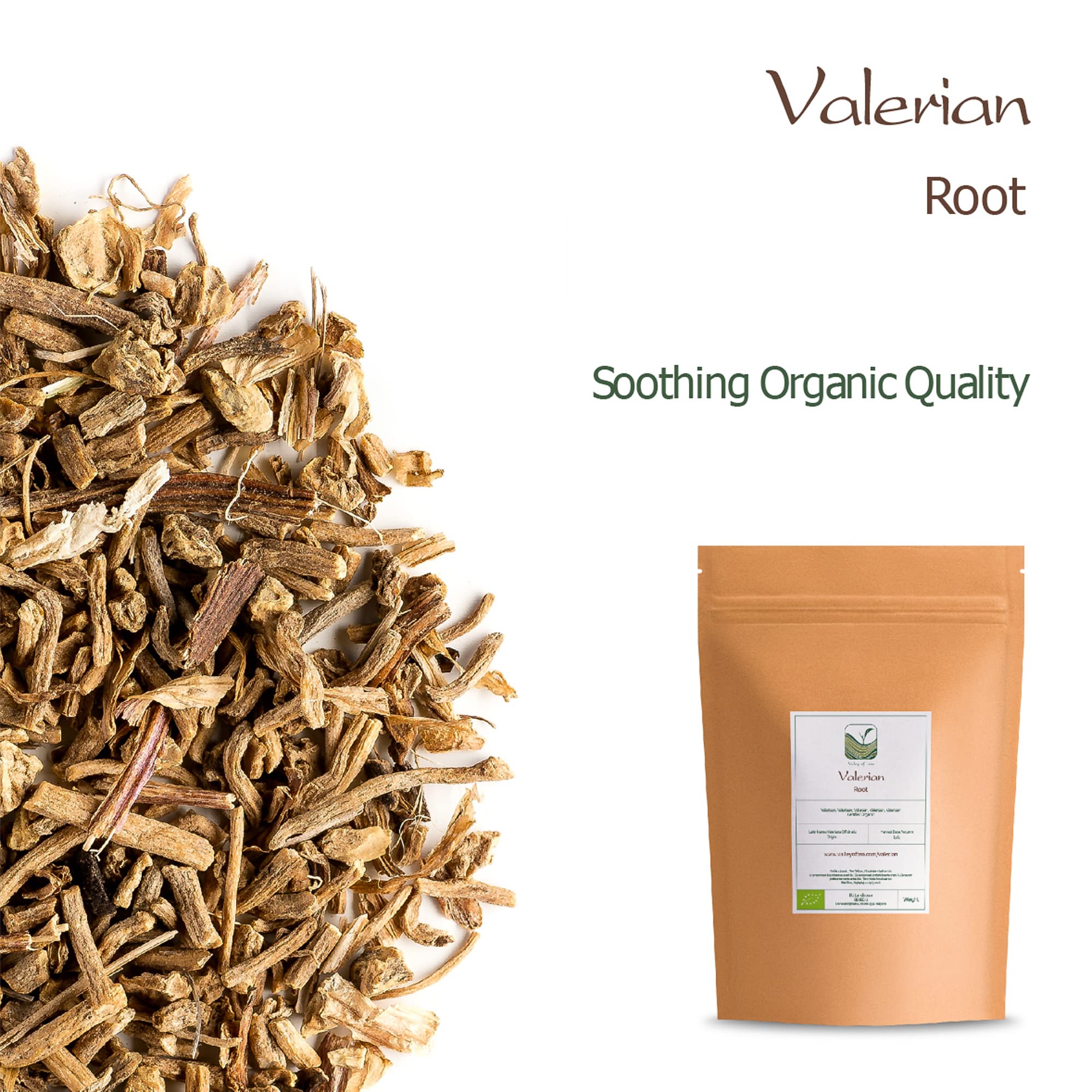 Steeping cup of valerian root tea highlighting woody evergreen aroma.