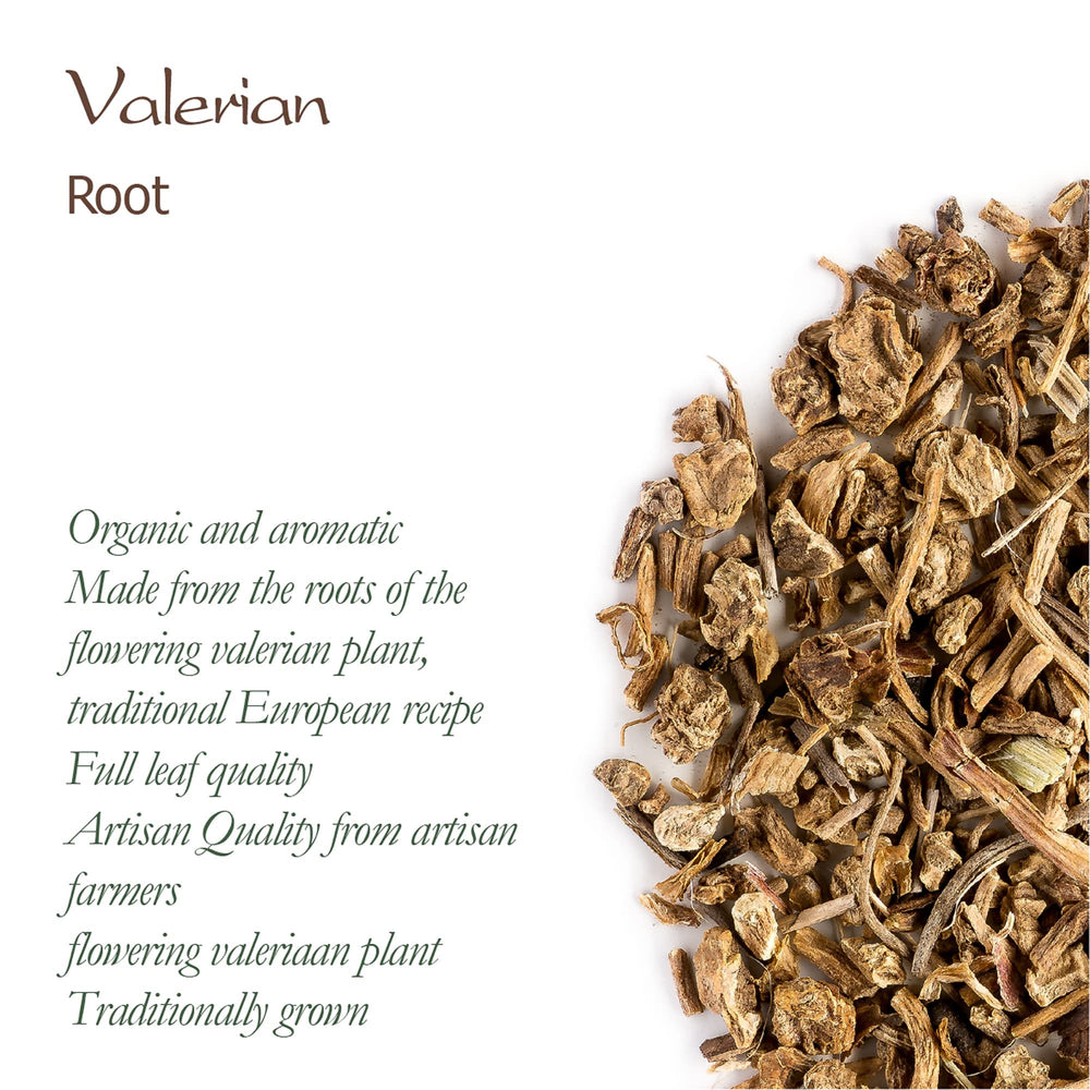 Valley of Tea valerian root tea steeping with pine-like fragrance.
