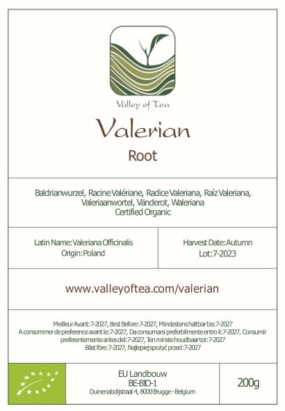 Close-up of valerian root tea sachet ready to brew.