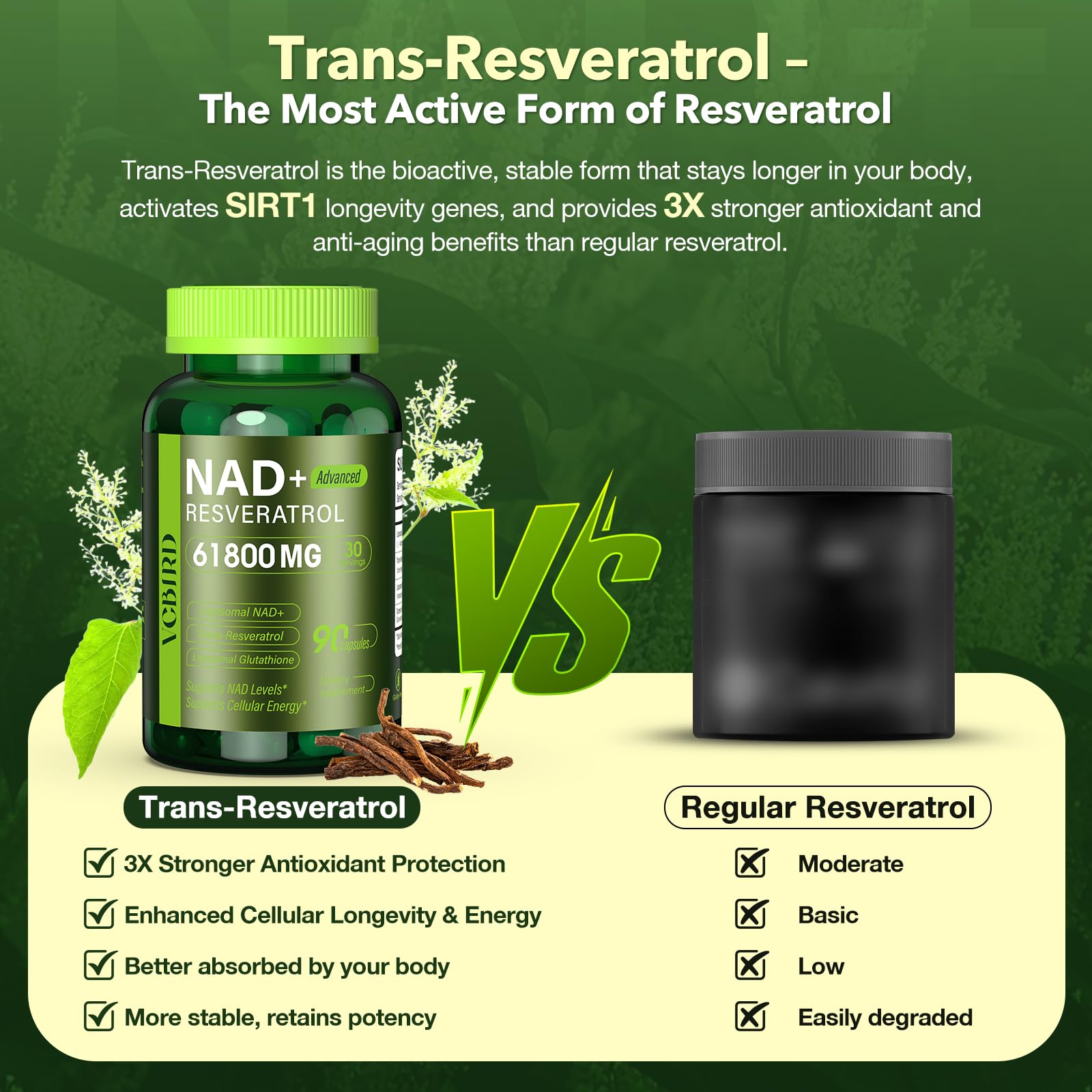Turmeric roots and powder from VCBIRD product line suggesting inflammation balance
