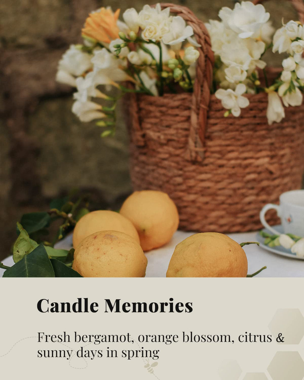 VEDA TINDA SCENT beeswax candles burn up to 80 hours for long-lasting home scent.