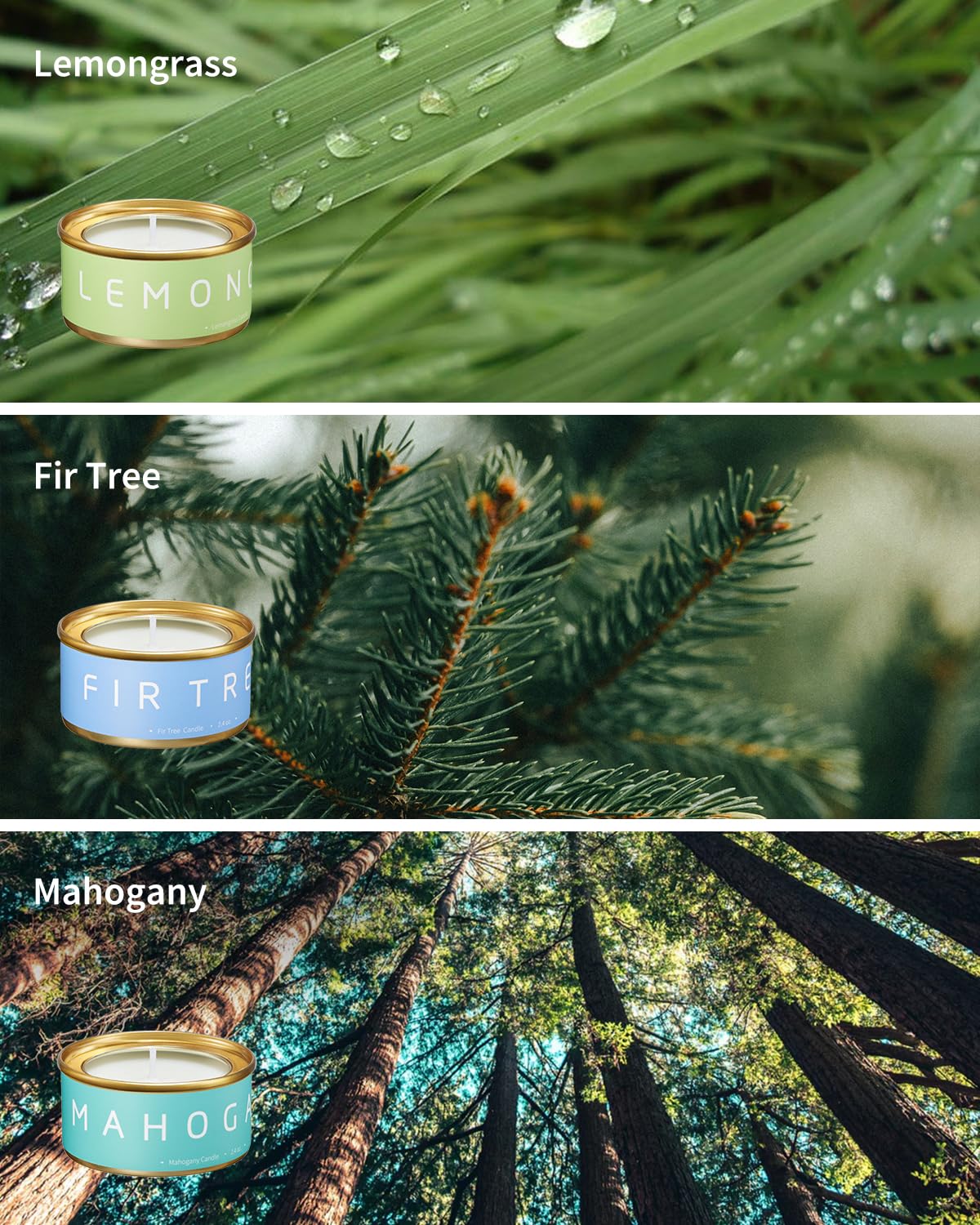 VEDA TINDA SCENT Fir Tree candle adds crisp seasonal scent.