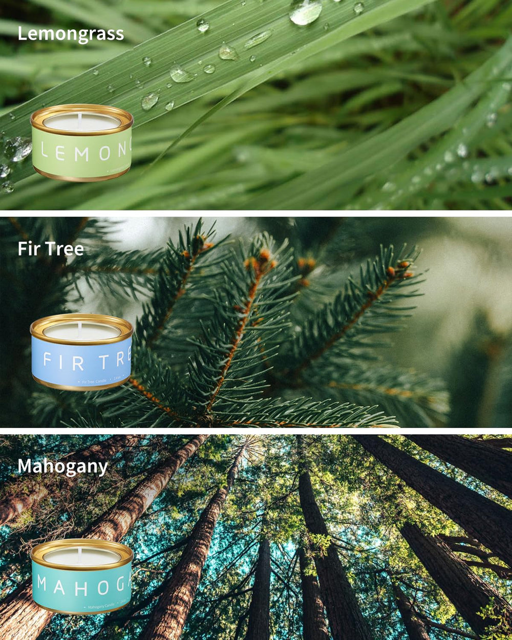 VEDA TINDA SCENT Fir Tree candle adds crisp seasonal scent.