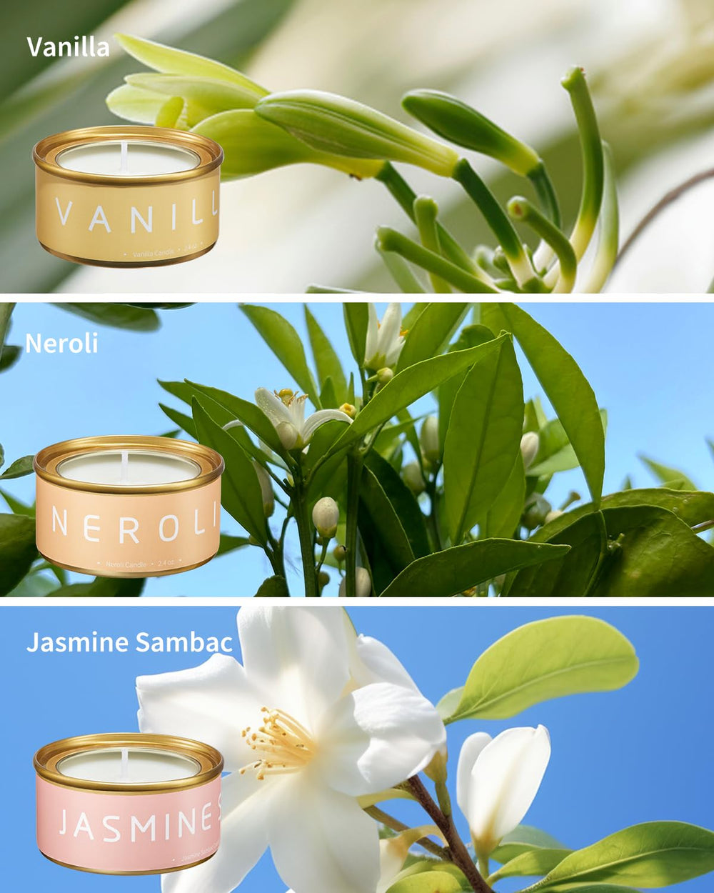 VEDA TINDA SCENT candles in a living room setup for spa-like relaxation.