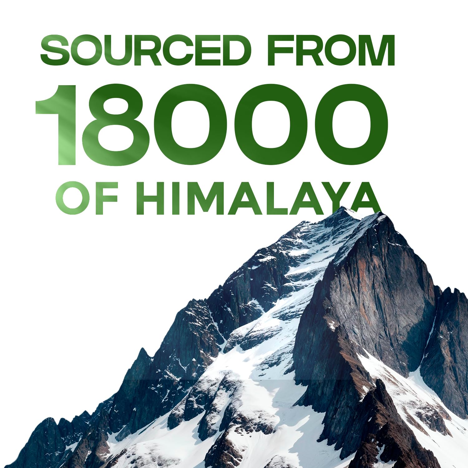 VEDIKROOTS Shilajit resin from 18k-19k ft altitude for premium source