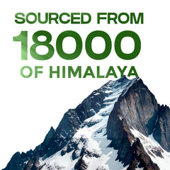 VEDIKROOTS Shilajit resin from 18k-19k ft altitude for premium source