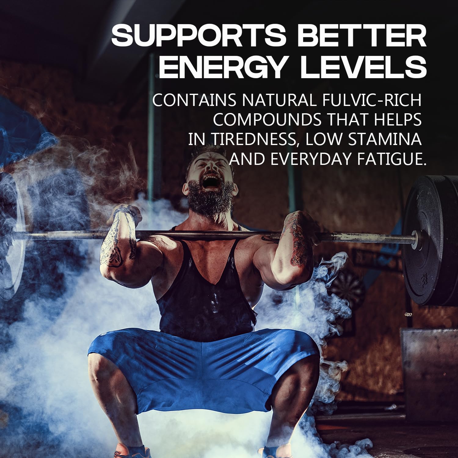 VEDIKROOTS Shilajit resin illustrating energy and endurance support