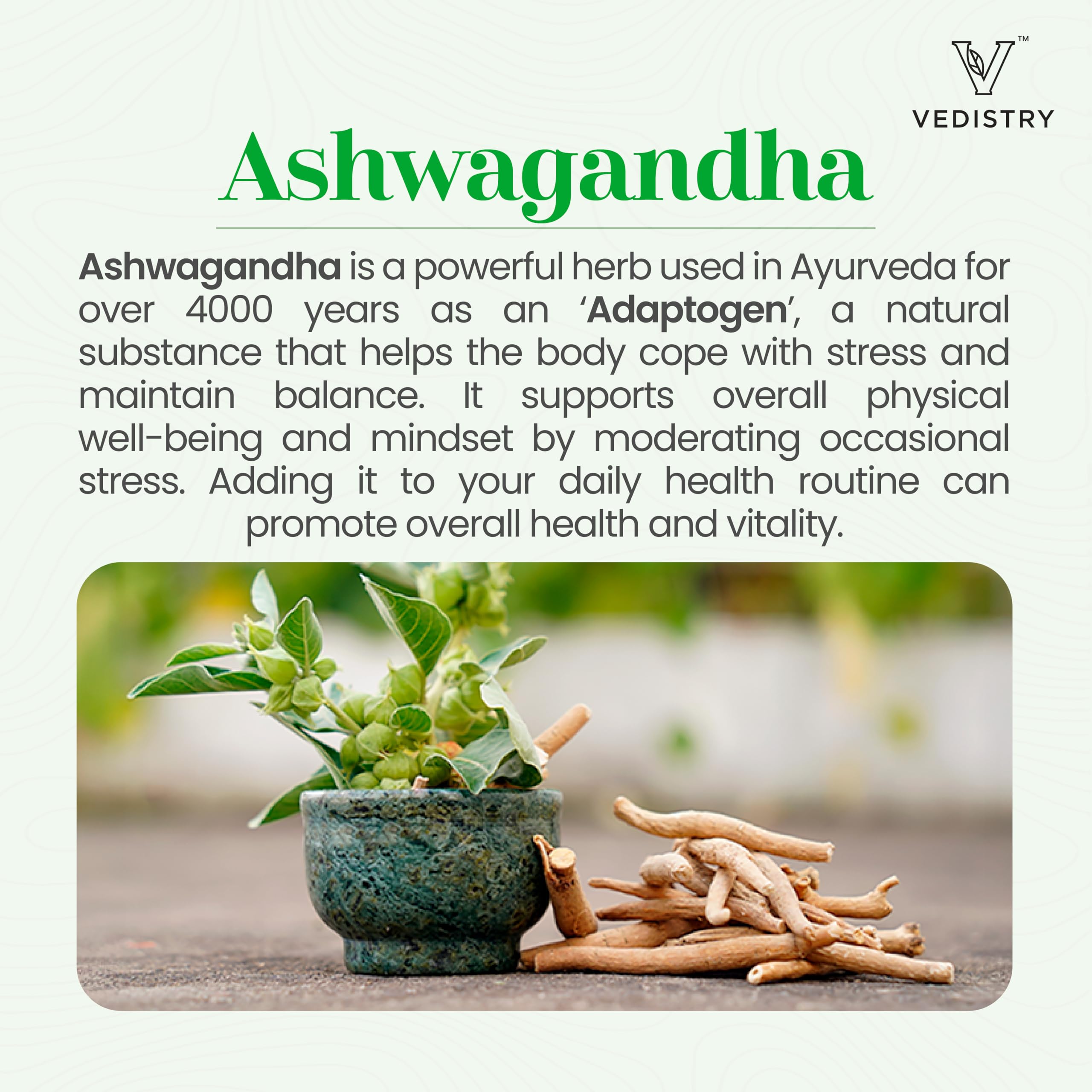 Vedistry Ashwagandha+ tablets close-up—high-potency adaptogen for energy and focus.
