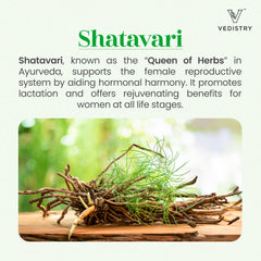 Vedistry Shatavari+ packaging highlights vegan formula for daily wellness.