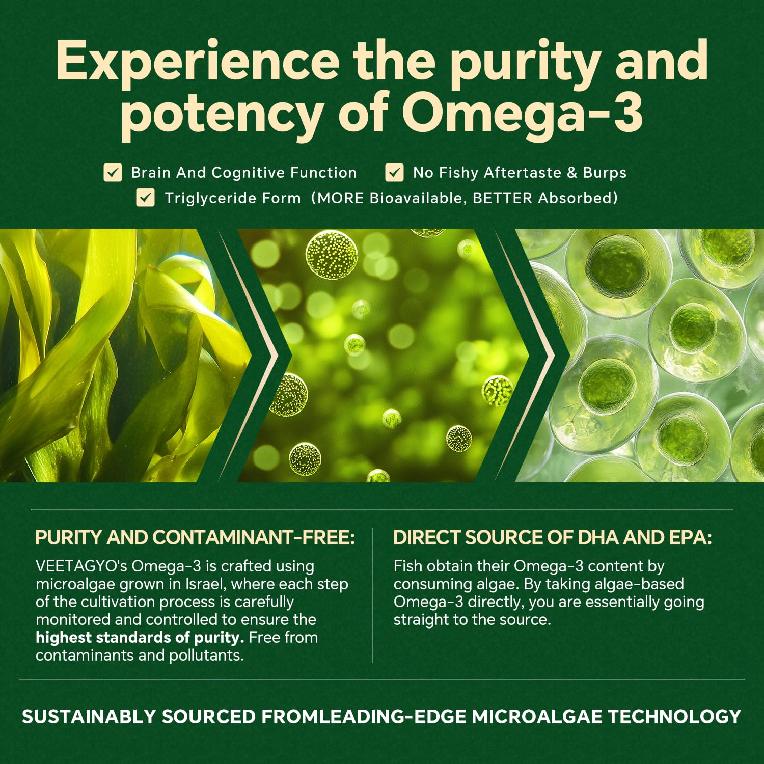 VEETAGYO omega-3 gummies with DHA 600mg and EPA 400mg per serving