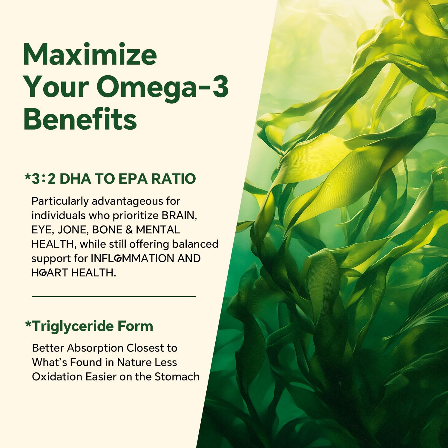 VEETAGYO vegan omega-3 GUMMIES sourced from algae for a plant-based option
