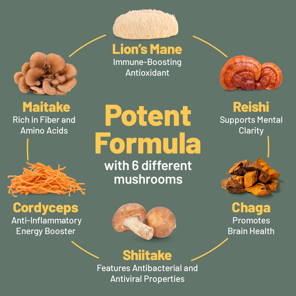 Vegan Vitality Memory and Focus blend mushrooms, suggesting cognitive clarity benefits.