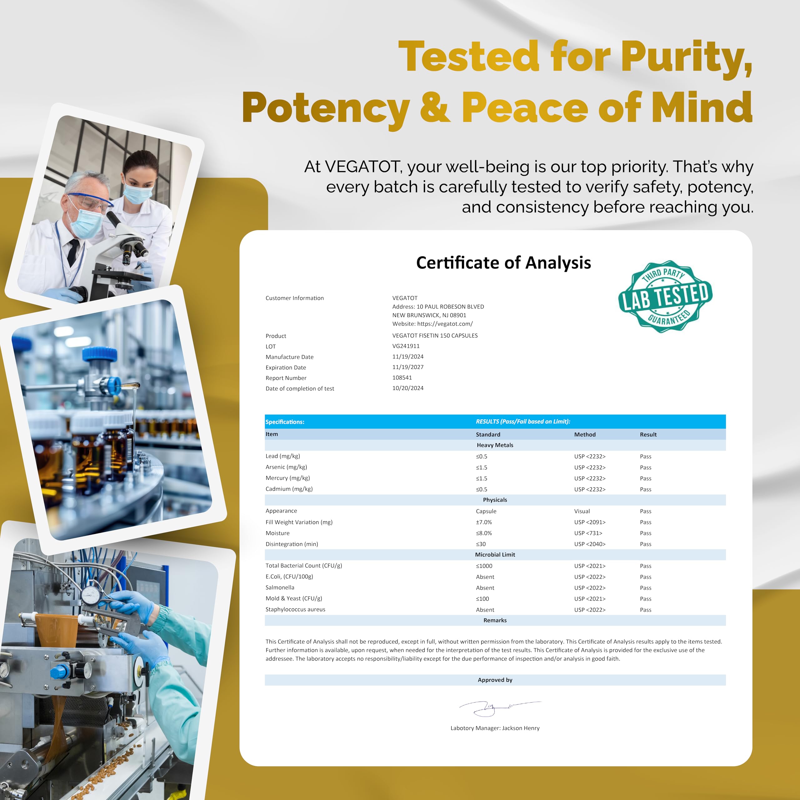 VEGATOT Fisetin natural ingredients icons reflect plant-based formula