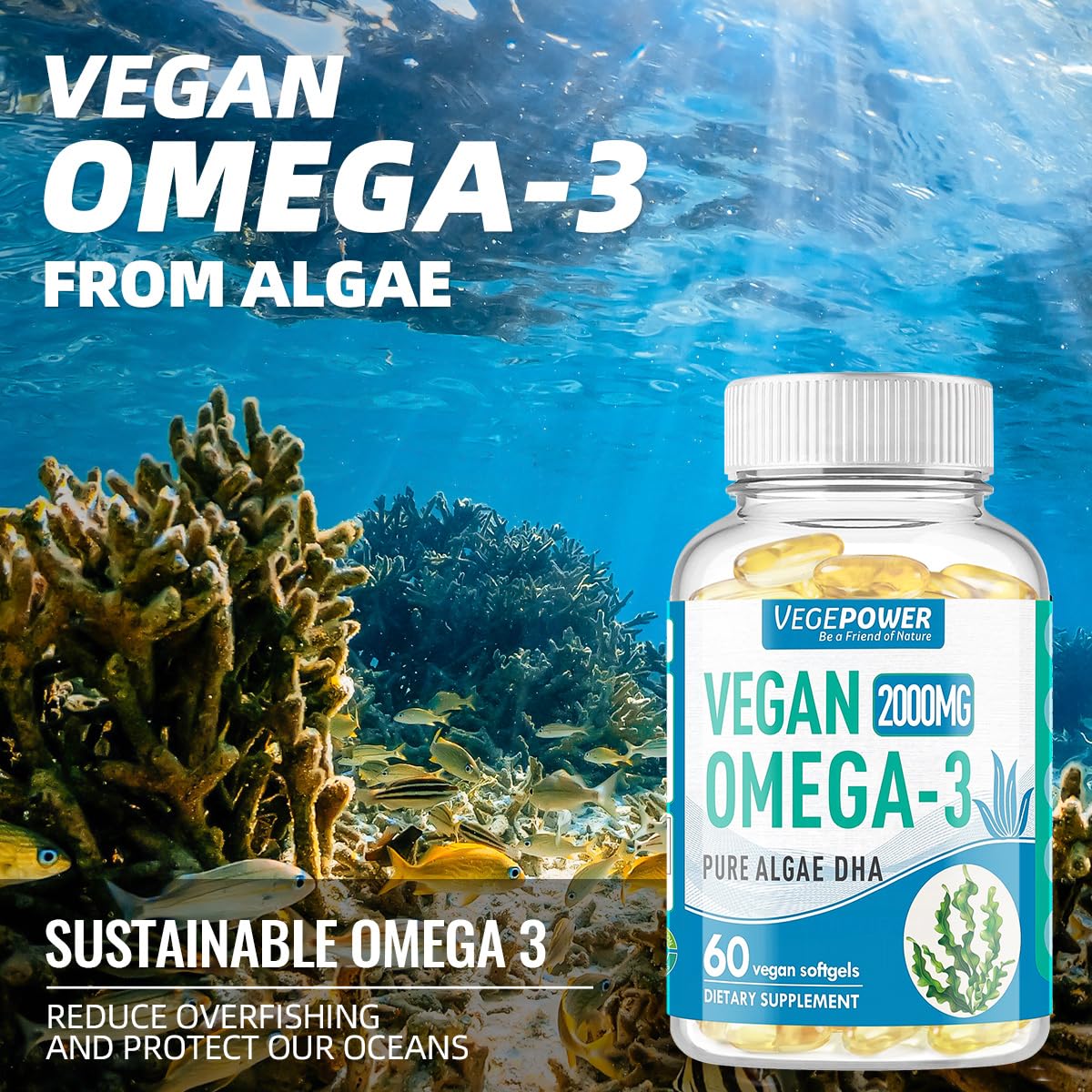VEGEPOWER sustainable algae oil option presented as eco-friendly choice