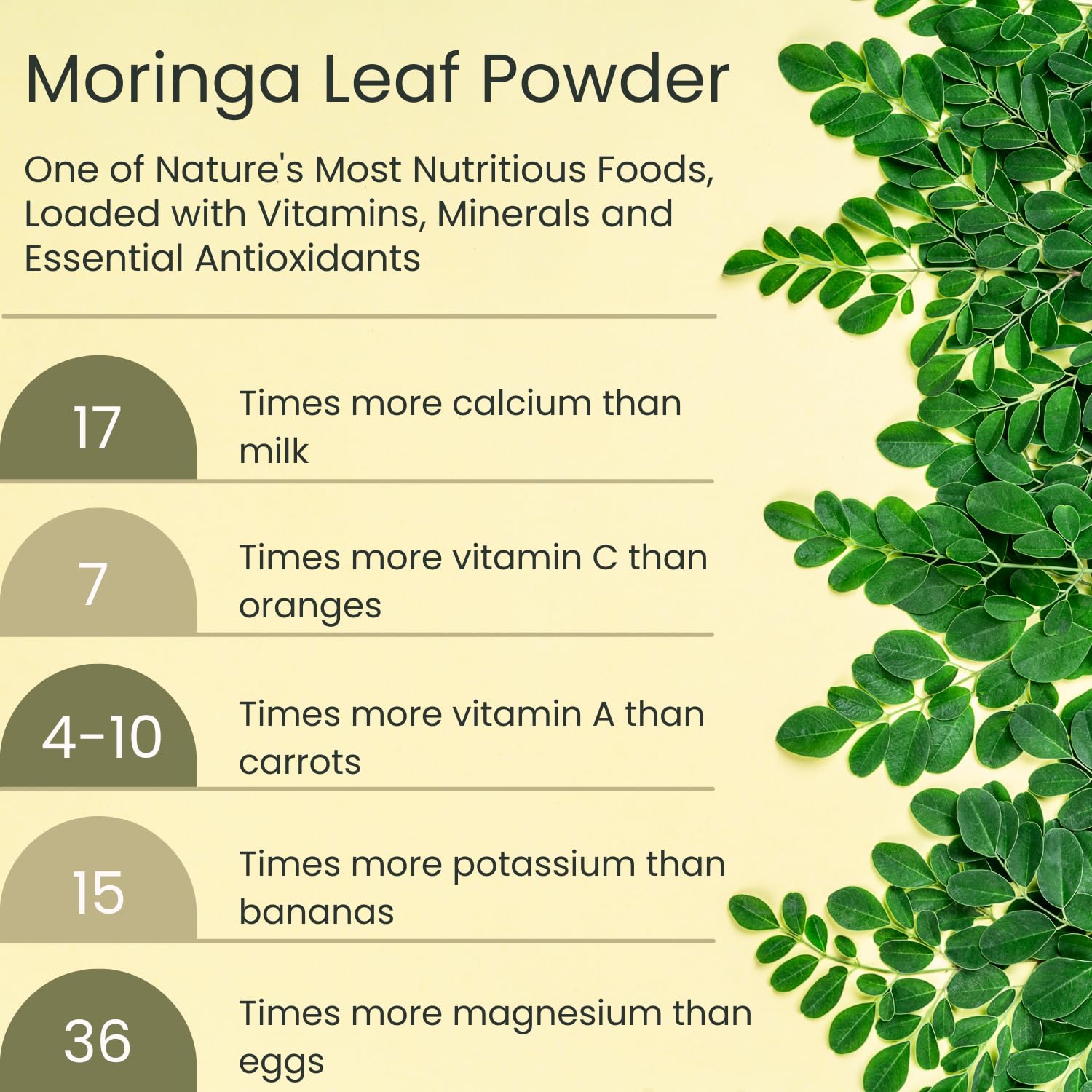 No fillers label on Vegs Moringa Powder jar, purity and quality.