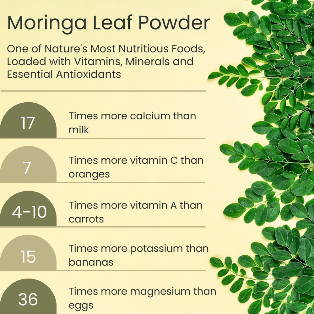 No fillers label on Vegs Moringa Powder jar, purity and quality.