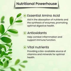 Vegs Moringa Powder in a glass of smoothie, vibrant green nutrition.