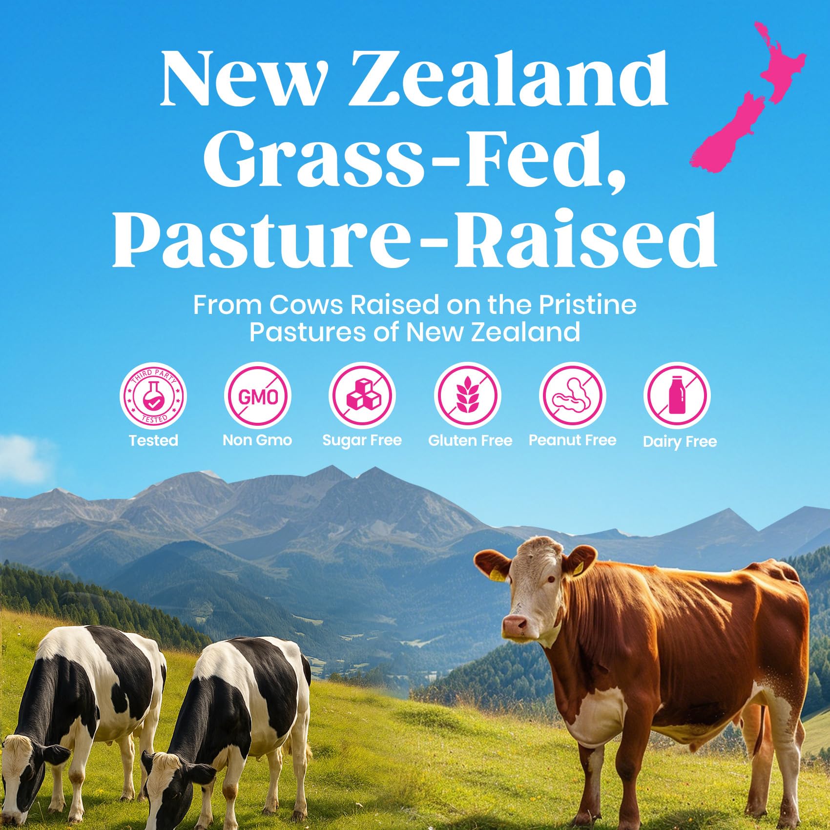 Venture Pal powder stirred into smoothie or yogurt for easy use