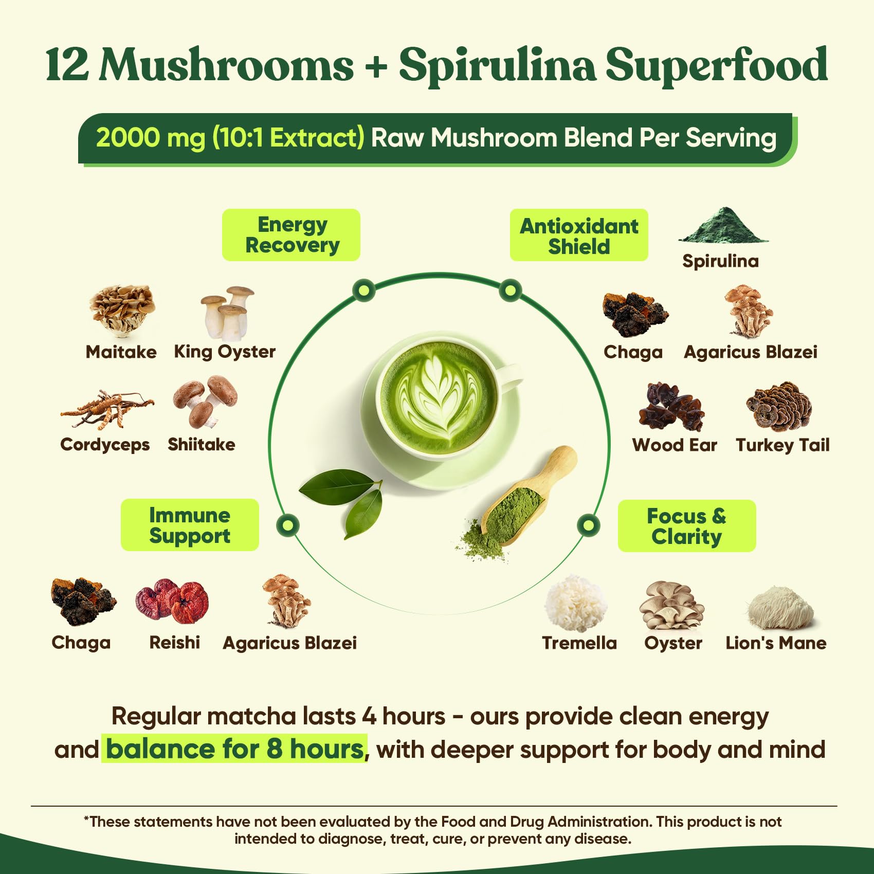 Steaming cup of Venture Pal Mushroom Matcha Powder illustrates an energizing morning beverage.