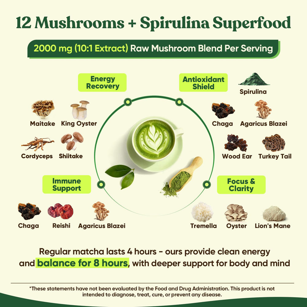 Steaming cup of Venture Pal Mushroom Matcha Powder illustrates an energizing morning beverage.