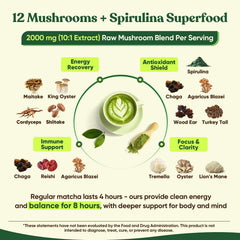 Steaming cup of Venture Pal Mushroom Matcha Powder illustrates an energizing morning beverage.