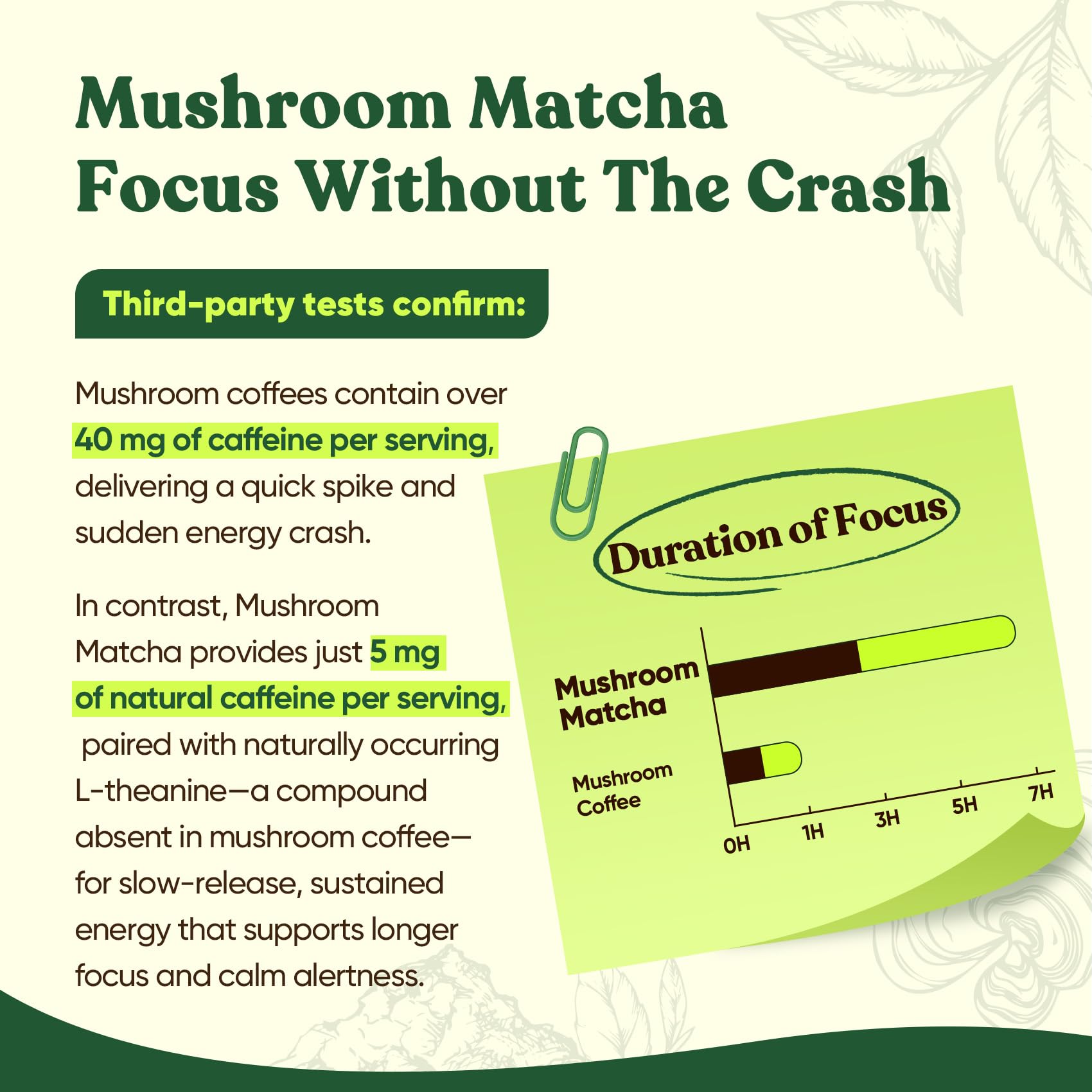Venture Pal Mushroom Matcha Powder tub closeup shows ceremonial grade blend for sustained energy.