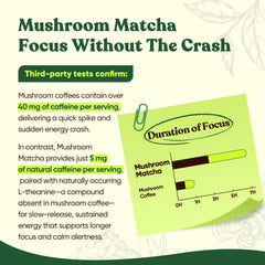 Venture Pal Mushroom Matcha Powder tub closeup shows ceremonial grade blend for sustained energy.