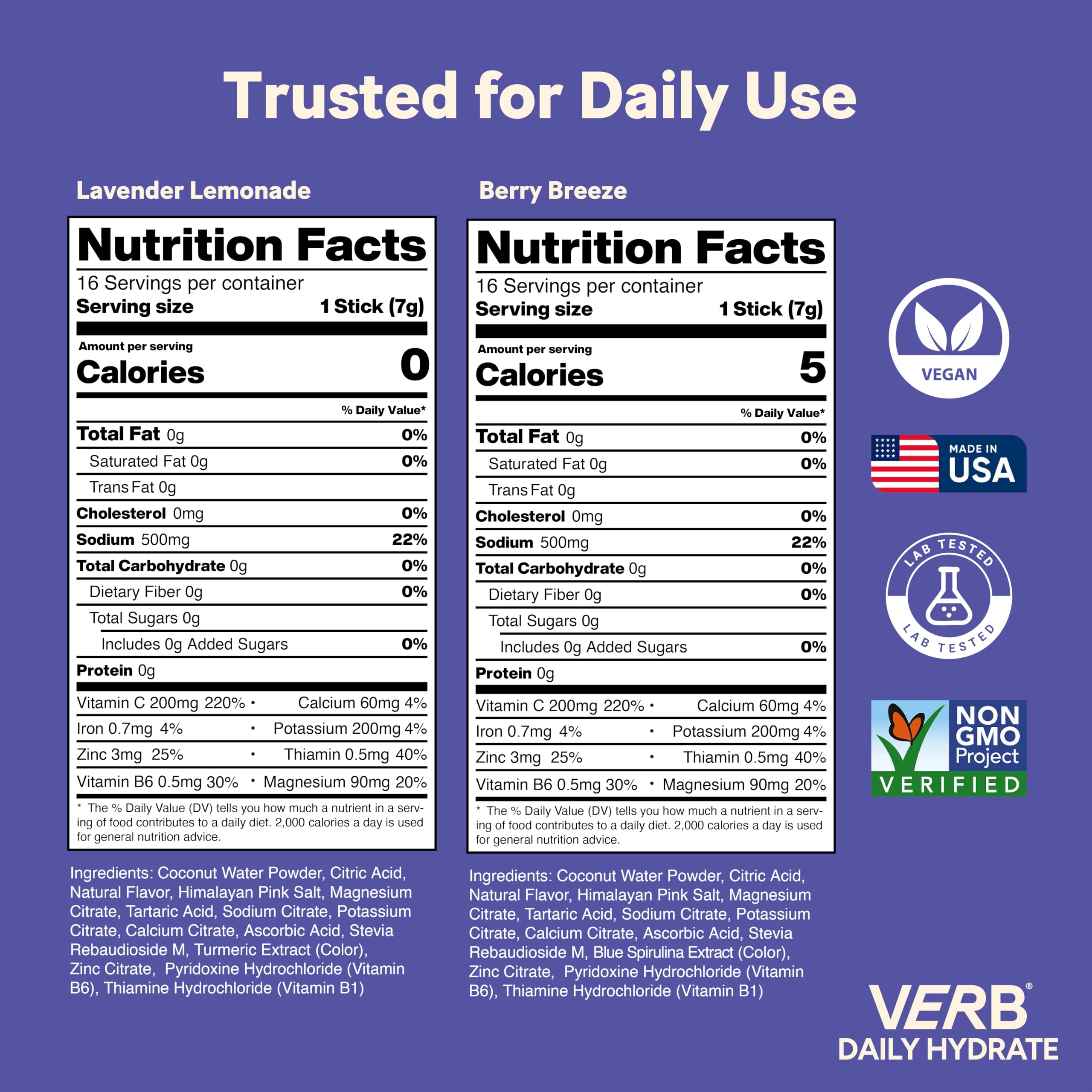 Verb Daily Hydrate backpack-ready pack for on-the-go hydration
