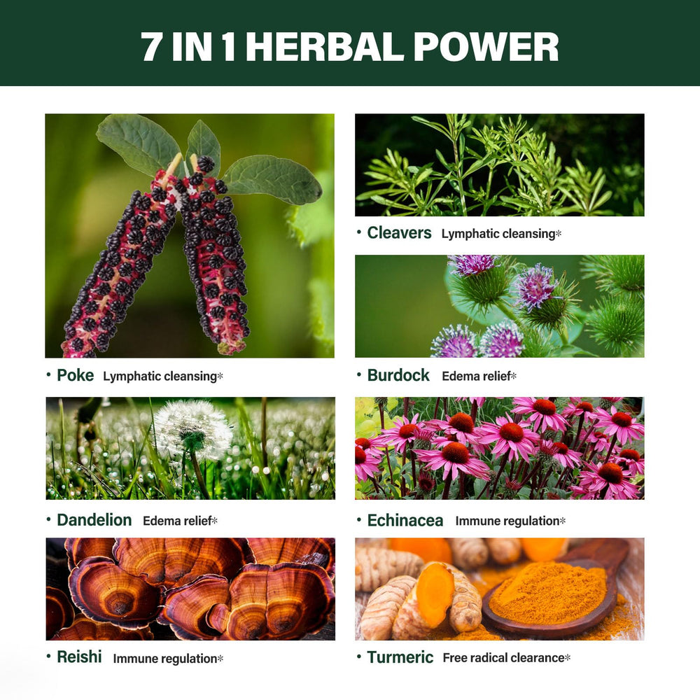 Verdeherb Poke Drops dropper for precise, easy dosing.