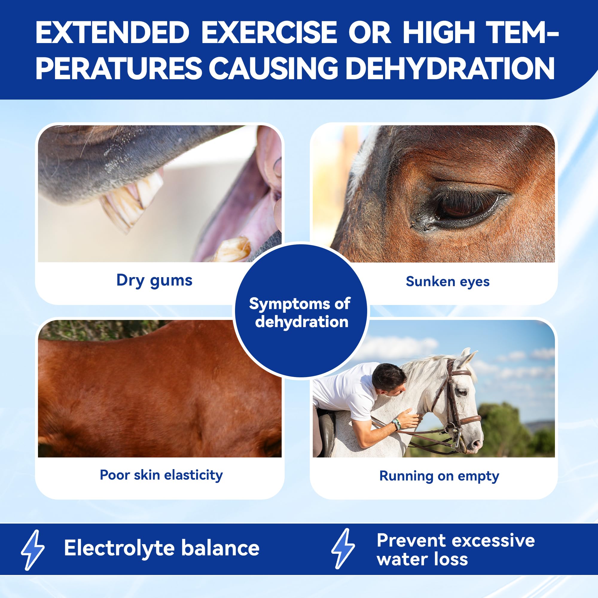 Vetanimus apple flavor electrolytes helping horse drink more water during workouts.
