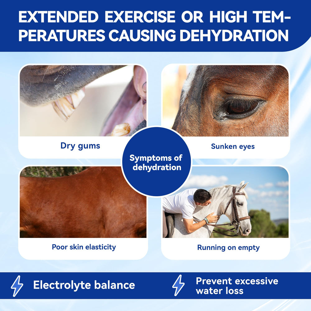Vetanimus apple flavor electrolytes helping horse drink more water during workouts.
