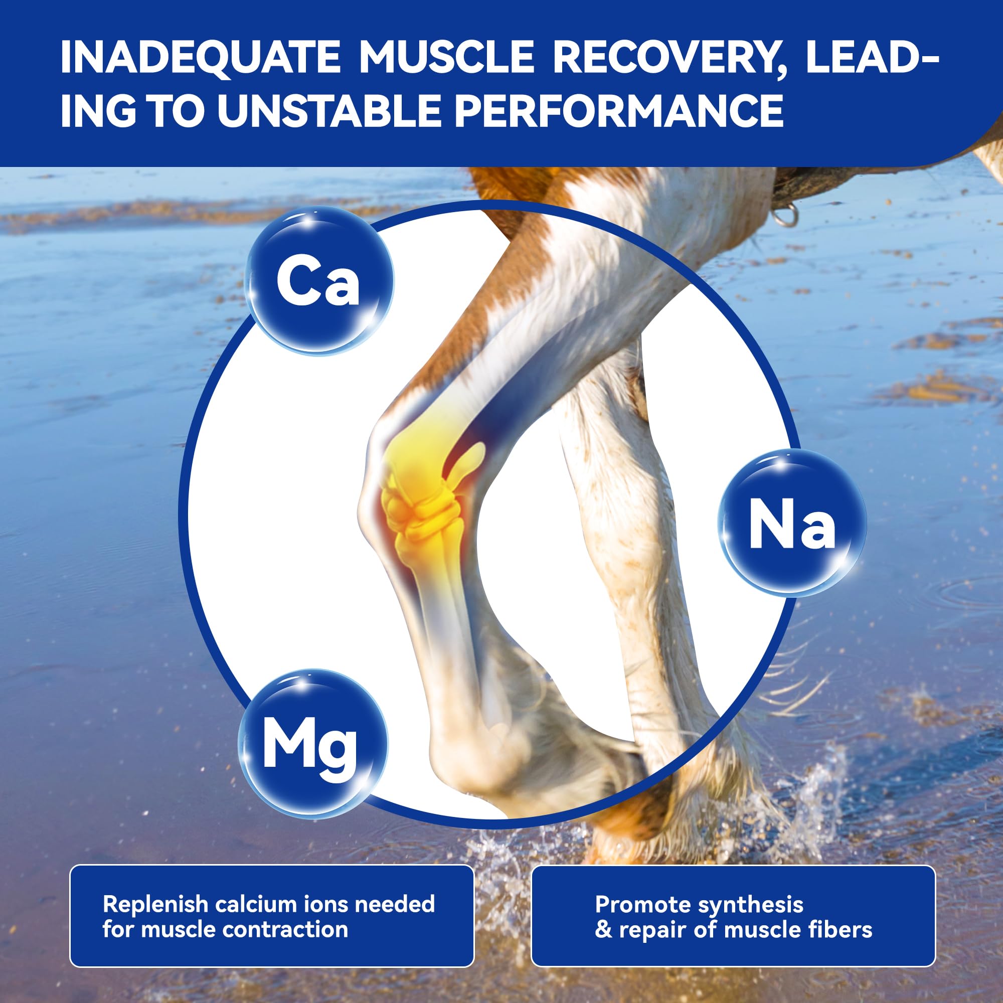 Vetanimus apple flavor electrolytes powder dissolves easily in water for quick hydration.