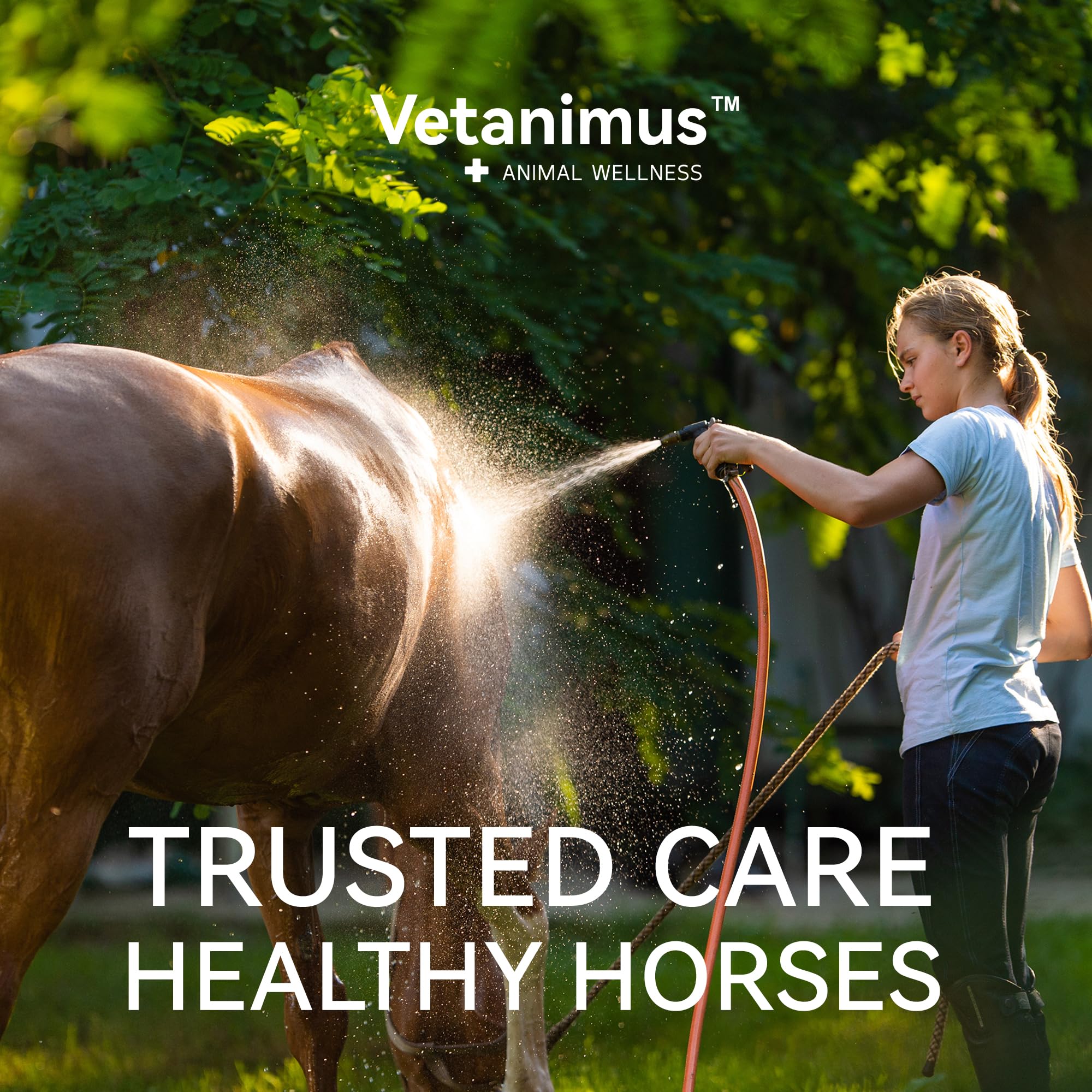 Vetanimus apple flavor electrolytes ready for pre-competition use to support hydration.