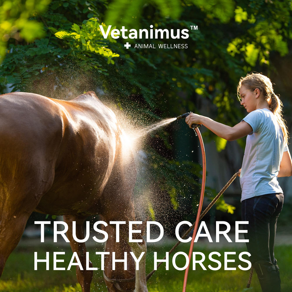 Vetanimus apple flavor electrolytes ready for pre-competition use to support hydration.