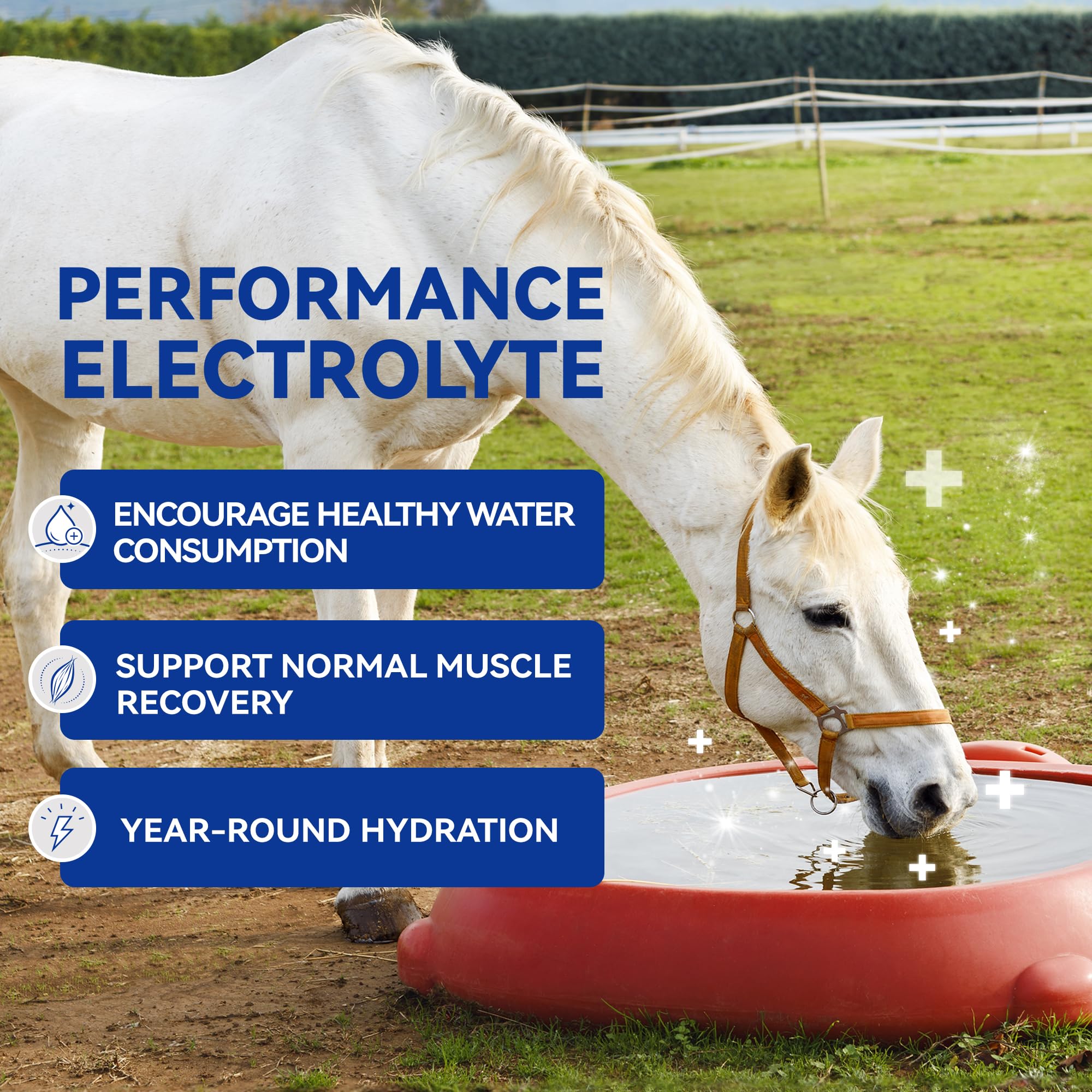 Vetanimus apple flavor electrolytes tub label closeup highlighting convenient packaging.