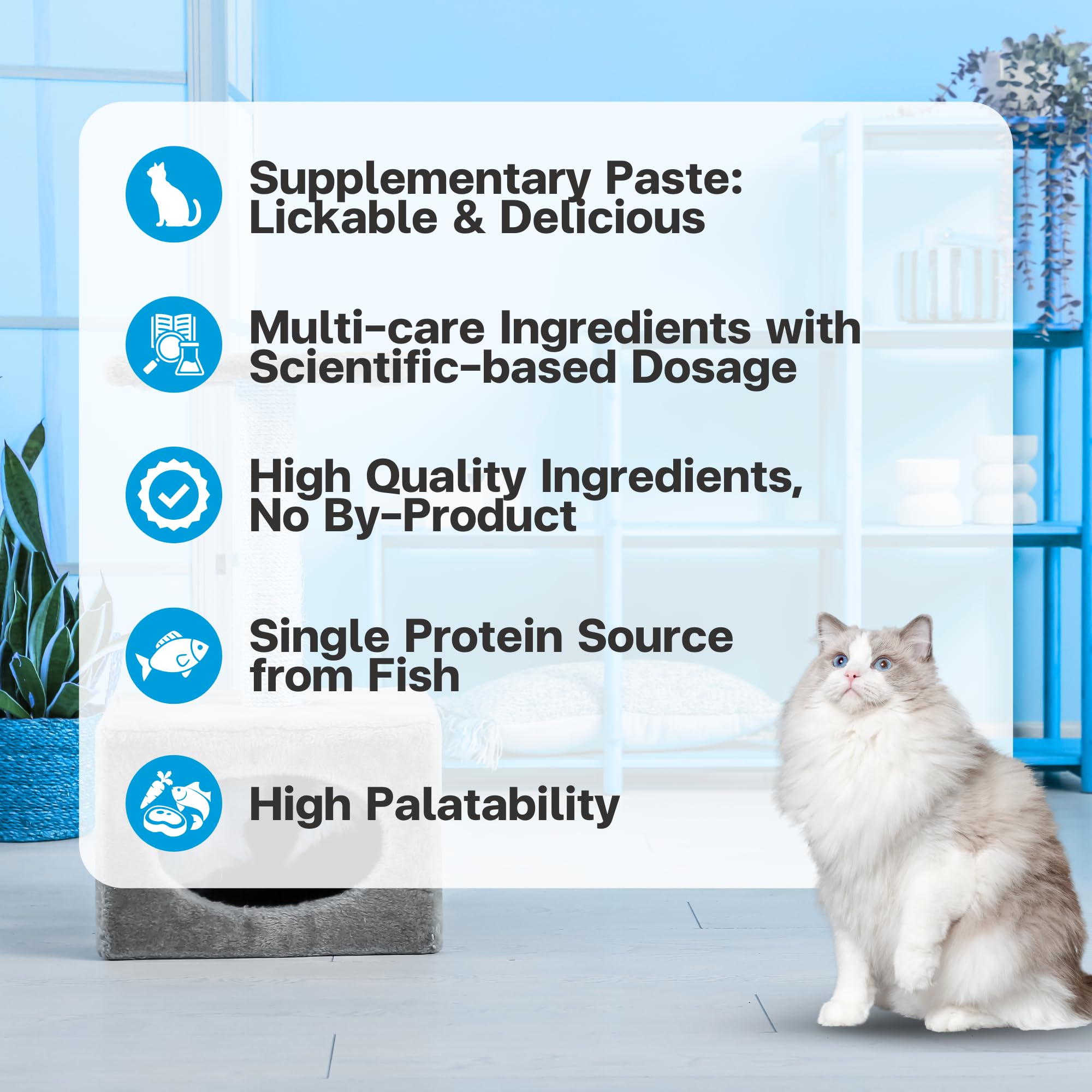 VFCARE Lysine cats 30 sachets pack ready for vet-recommended daily routine.