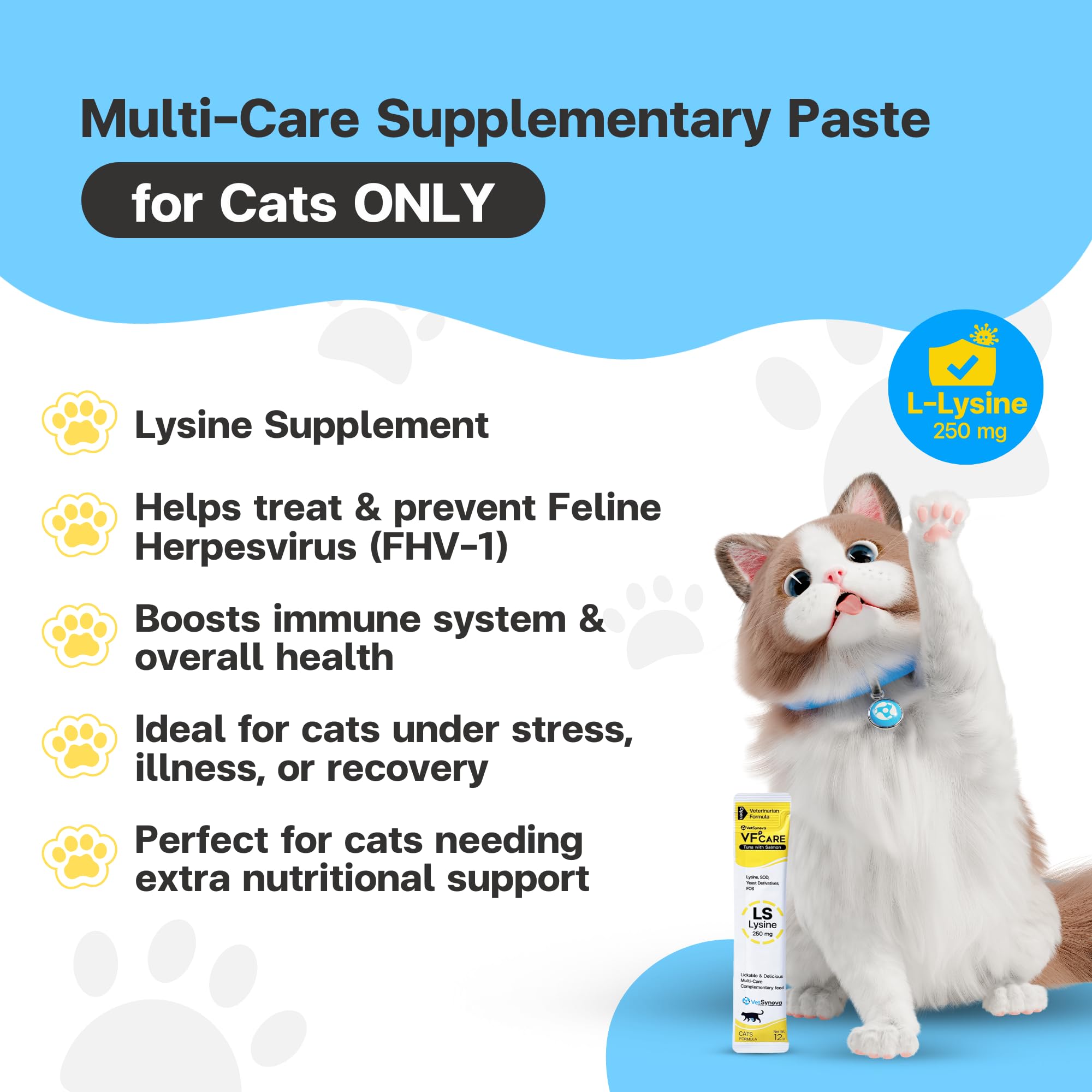 VFCARE Lysine for Cats serving spoon demonstrates easy portioning for consistent daily dosing.