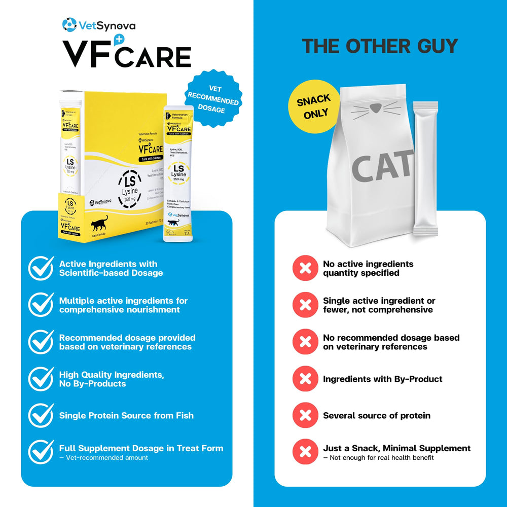 VFCARE Lysine cats paste on a spoon beside kibble suggests easy mixing with meals.