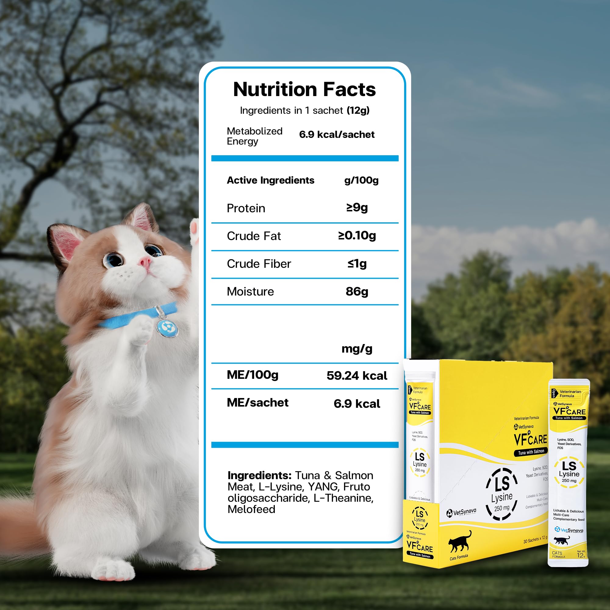 VFCARE Lysine for Cats pack shows dietary supplement enhancing digestion and immune vitality.