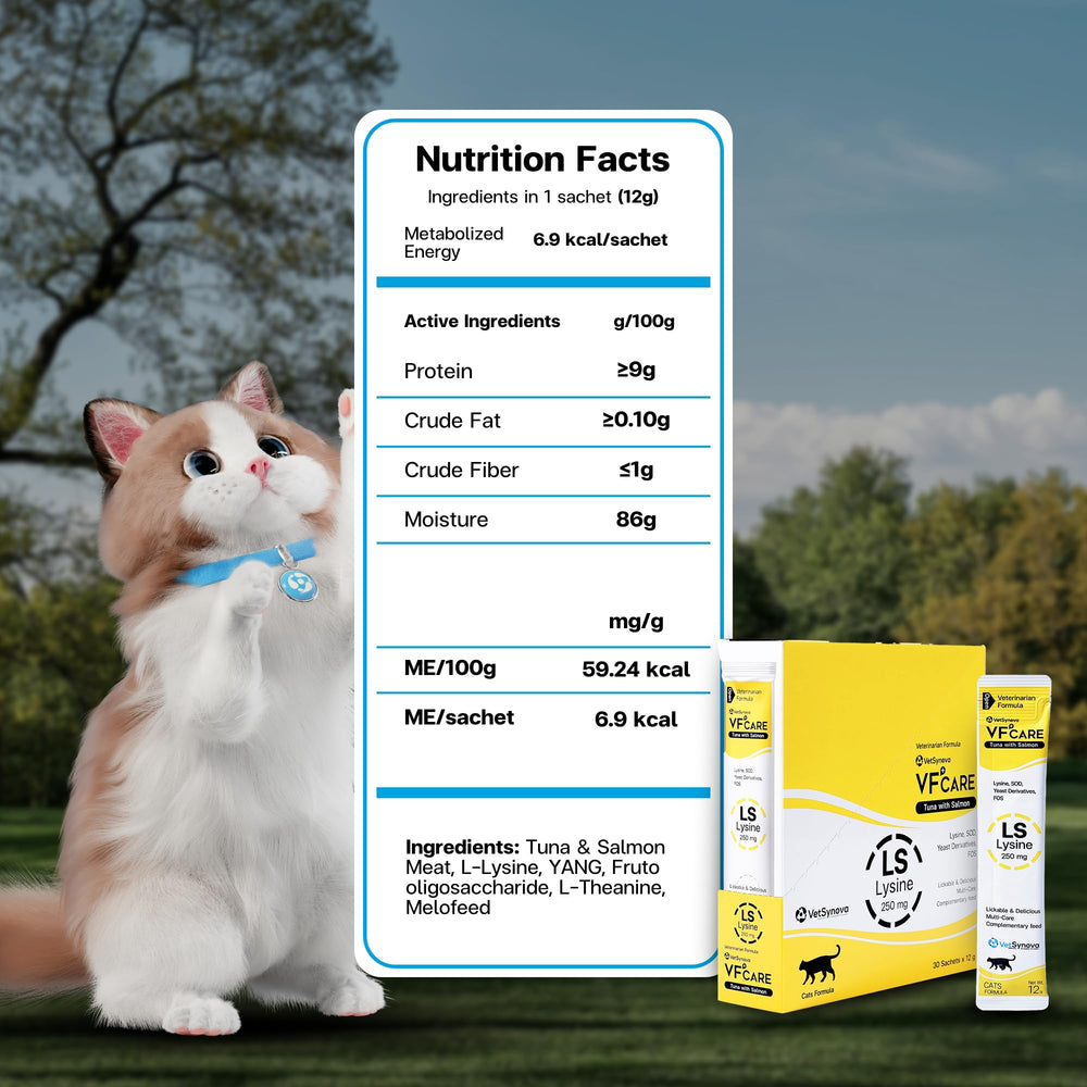 VFCARE Lysine for Cats pack shows dietary supplement enhancing digestion and immune vitality.