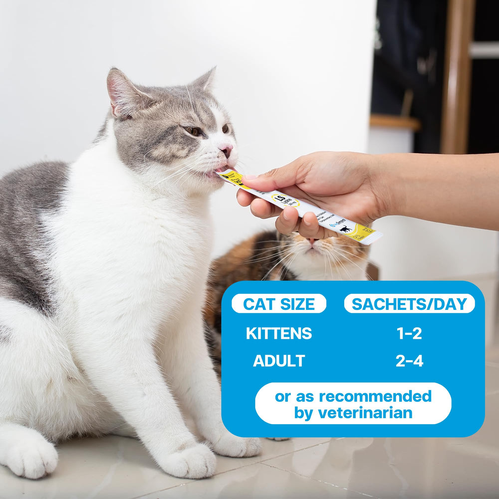 VFCARE Lysine for Cats ingredient list highlights lysine and antioxidants for balanced support.
