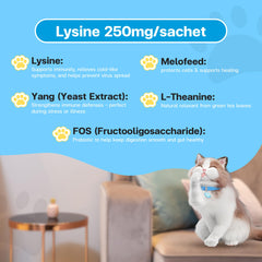 VFCARE Lysine cats paste tube close-up shows smooth texture and palatable flavor.