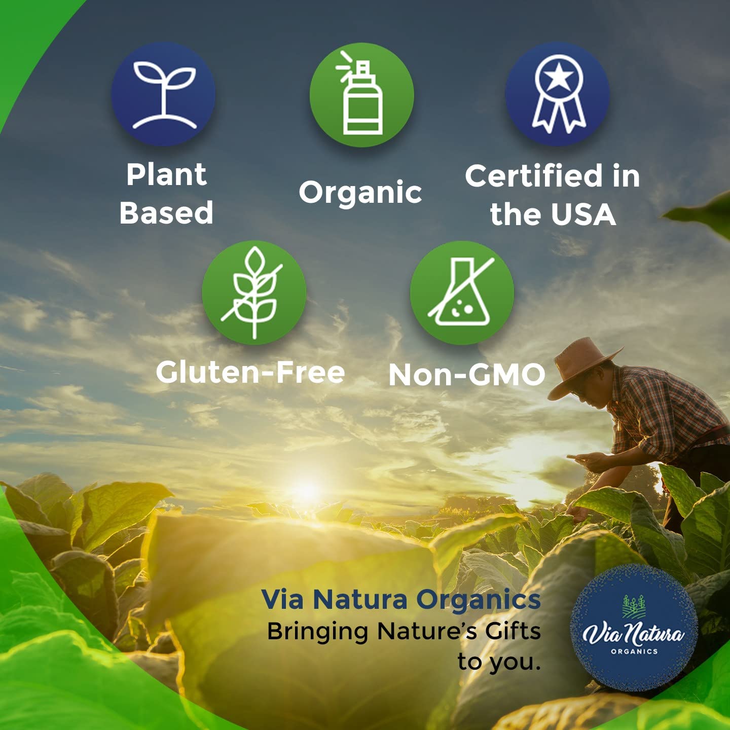 Via Natura Organics Ashwagandha capsule label notes gluten-free and non-GMO ingredients.